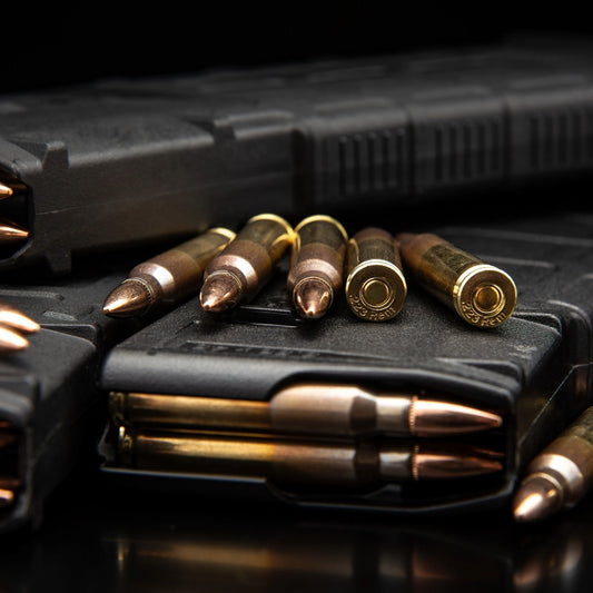 .223 Ammo loaded in Magazines