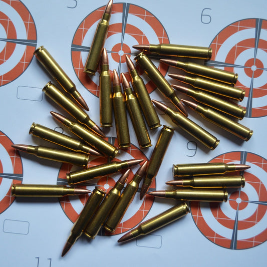 5.56 x 45mm FMJ 55gr Echo Ammo
