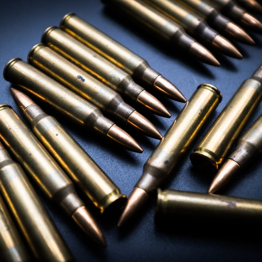 5.56 x 45mm FMJ 55gr Echo Ammo